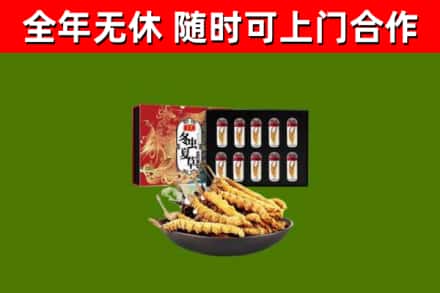 乌当区烟酒回收冬虫夏草礼盒.jpg