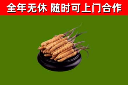乌当区烟酒回收冬虫夏草.jpg